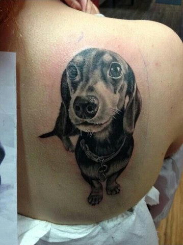 Black shaded tattoo of dachshund on shoulder
